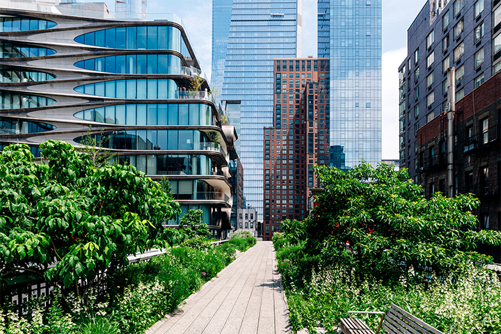 Office Landscape New York, USA