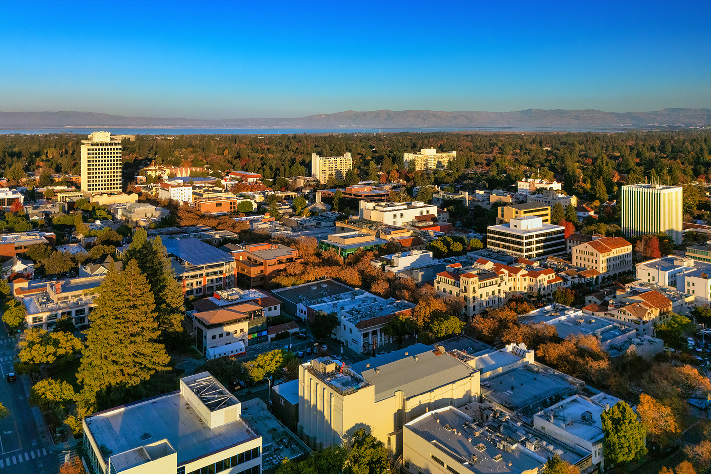 Office Landscape Palo Alto